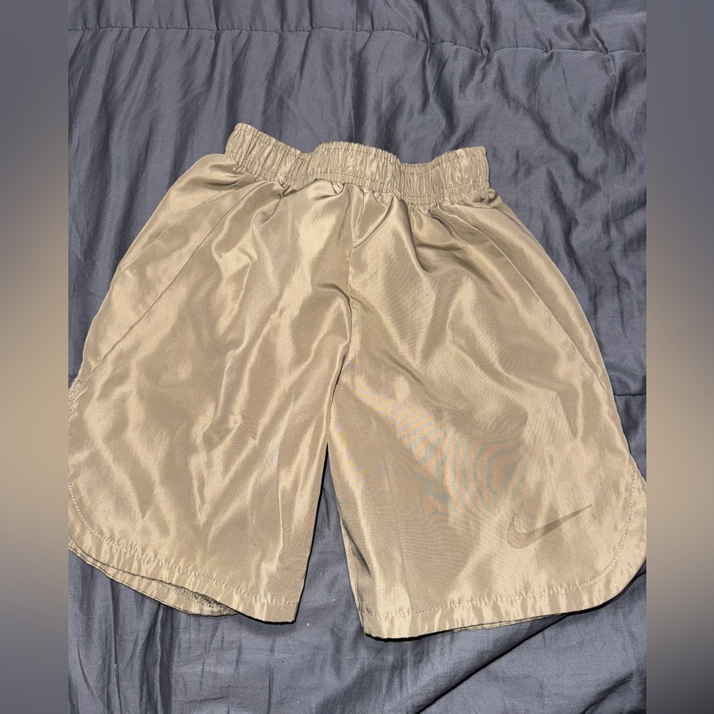 Nike Dri fit Shorts
